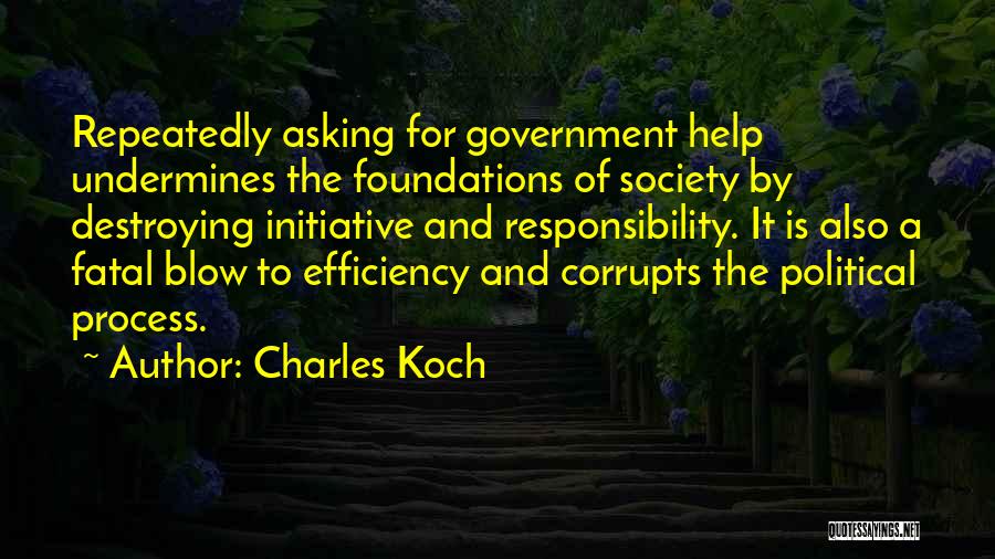 Government Efficiency Quotes By Charles Koch