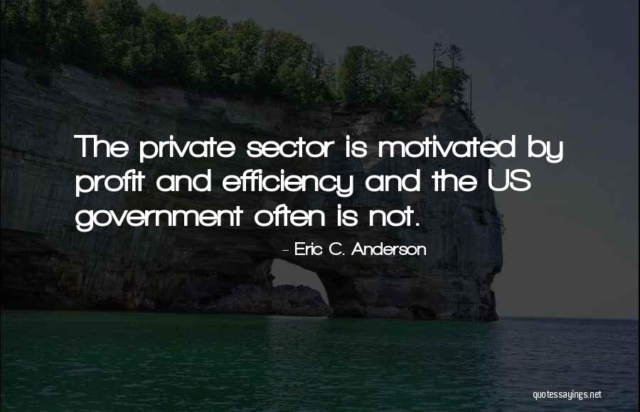 Government Efficiency Quotes By Eric C. Anderson