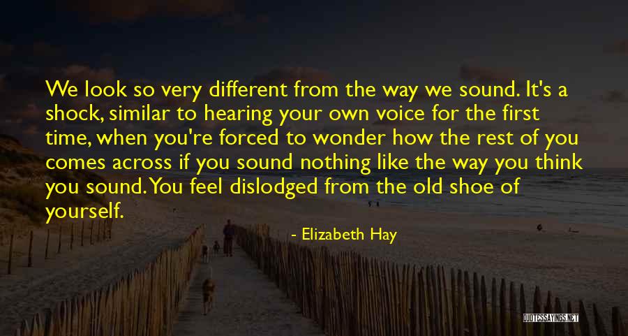 Government Helping People Quotes By Elizabeth Hay Government Helping People Quotes By Elizabeth Hay