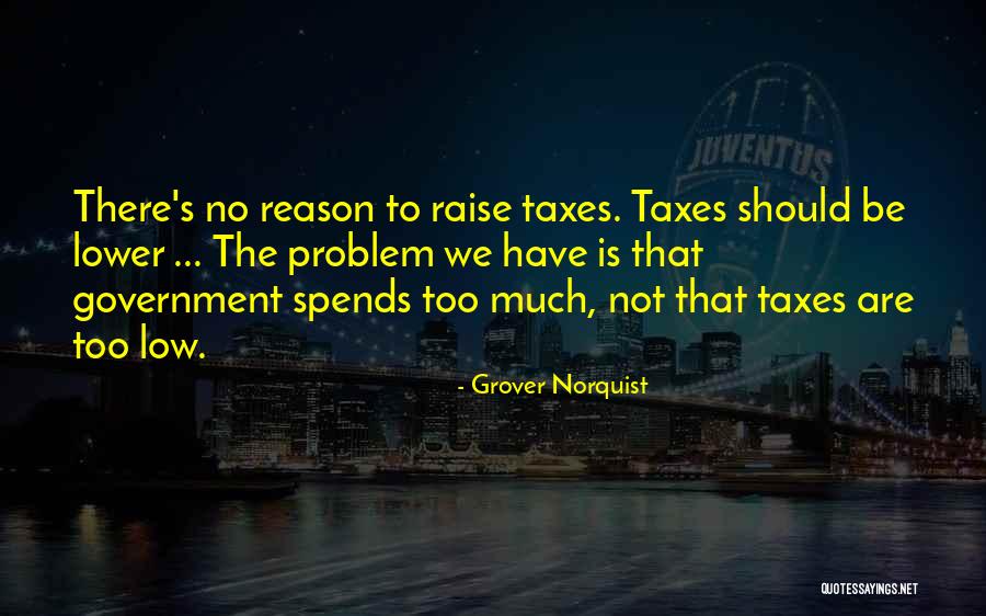 Government Is The Problem Quotes By Grover Norquist Government Is The Problem Quotes By Grover Norquist