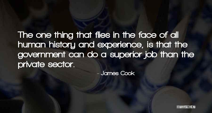 Government Job Quotes By James Cook