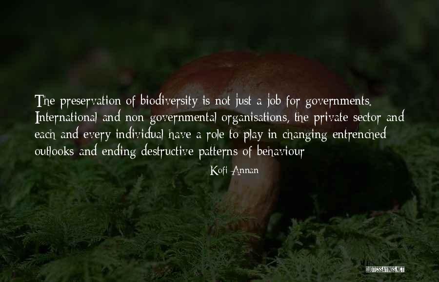 Government Job Quotes By Kofi Annan