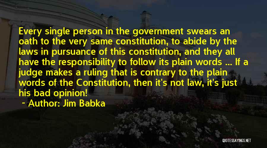 Government Laws Quotes By Jim Babka