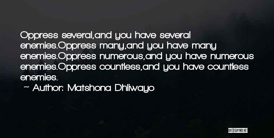 Government Oppression Quotes By Matshona Dhliwayo