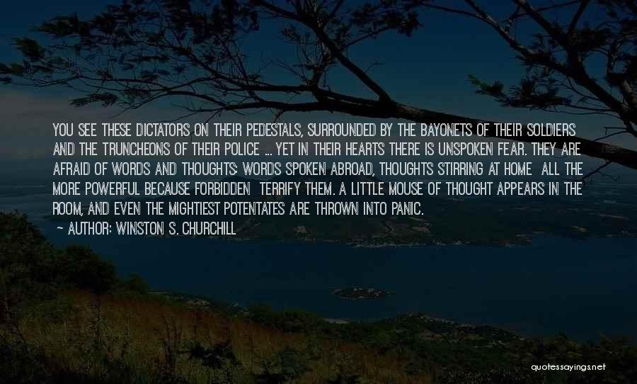 Government Oppression Quotes By Winston S. Churchill