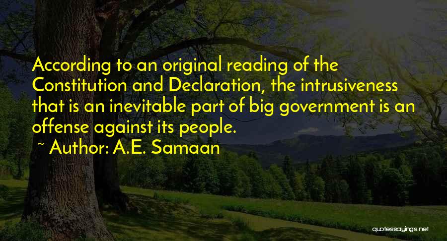 Government Programs Quotes By A.E. Samaan