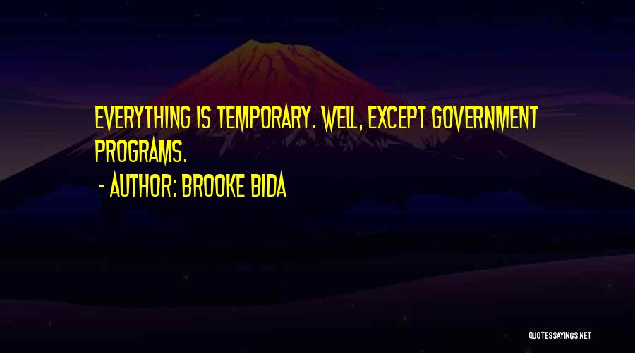 Government Programs Quotes By Brooke Bida