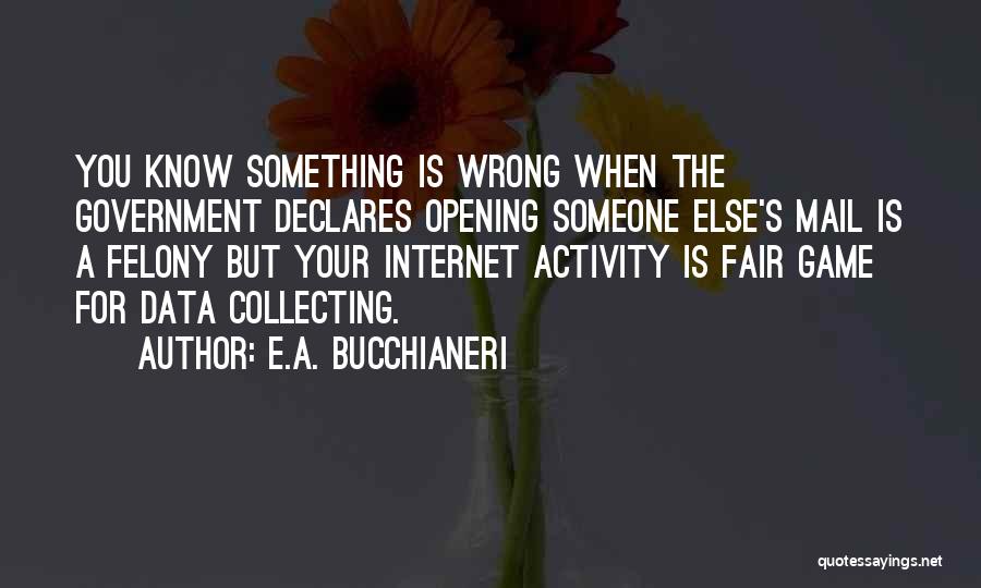 Government Programs Quotes By E.A. Bucchianeri