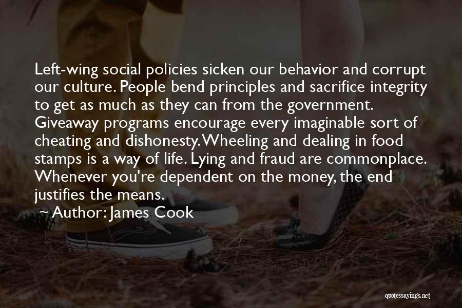 Government Programs Quotes By James Cook