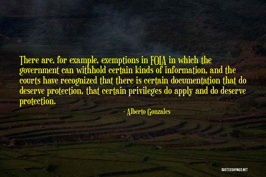 Government Protection Quotes By Alberto Gonzales Government Protection Quotes By Alberto Gonzales