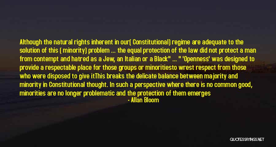 Government Protection Quotes By Allan Bloom Government Protection Quotes By Allan Bloom