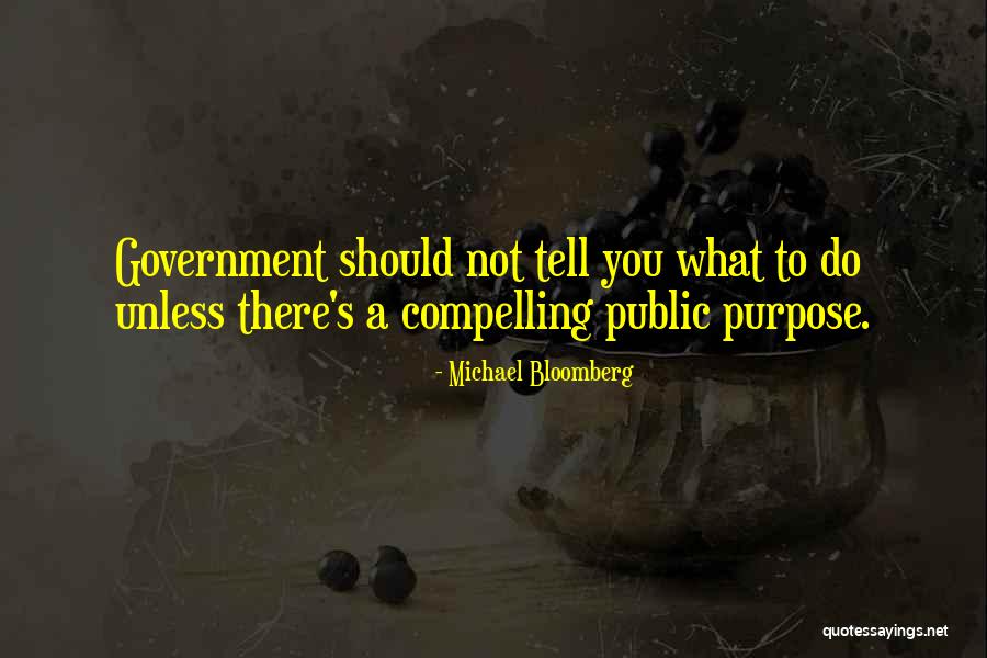 Government Purpose Quotes By Michael Bloomberg Government Purpose Quotes By Michael Bloomberg