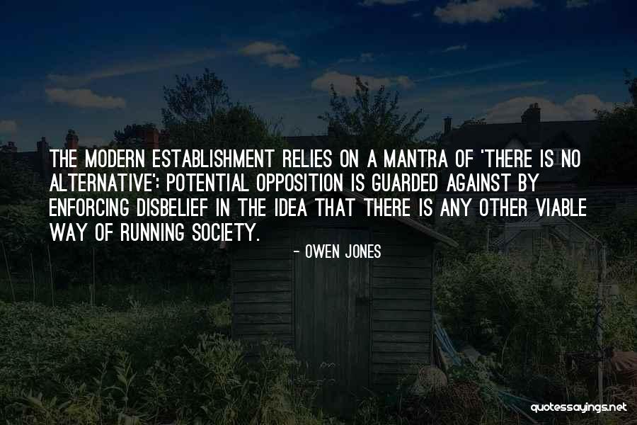 Government Quotes By Owen Jones