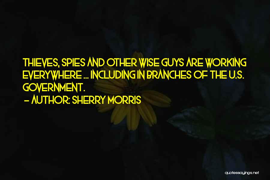Government Quotes By Sherry Morris