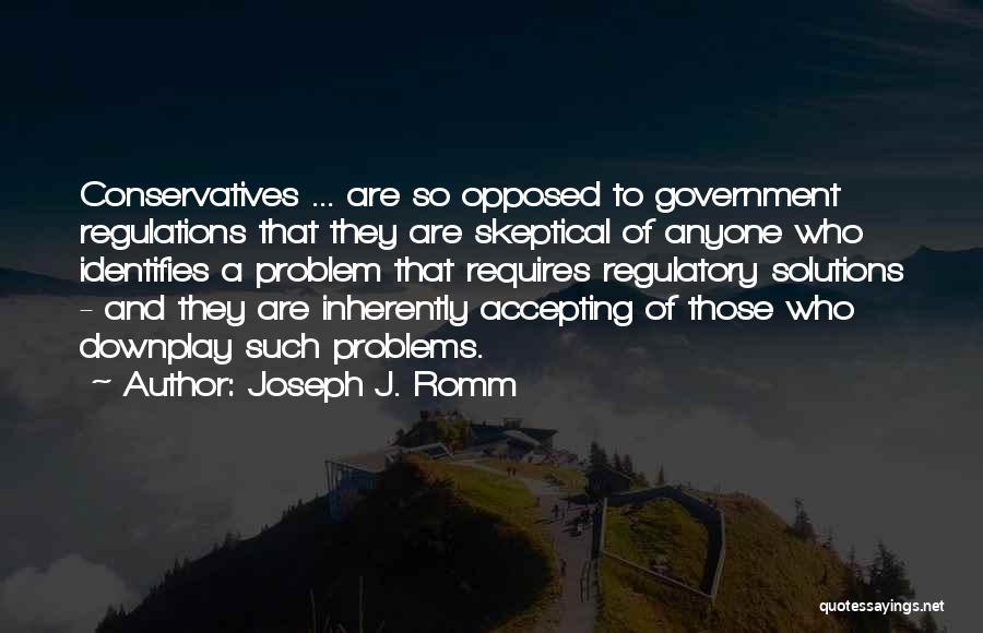 Government Regulations Quotes By Joseph J. Romm