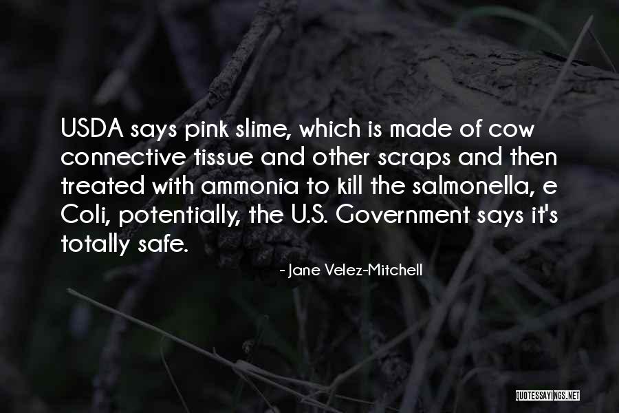 Government Safe Quotes By Jane Velez-Mitchell Government Safe Quotes By Jane Velez-Mitchell