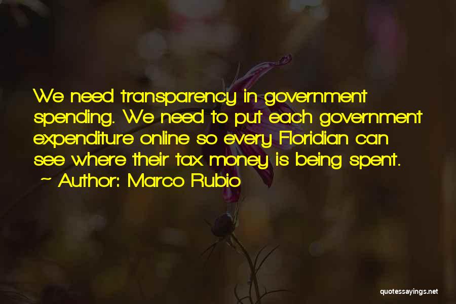 Government Spending Money Quotes By Marco Rubio