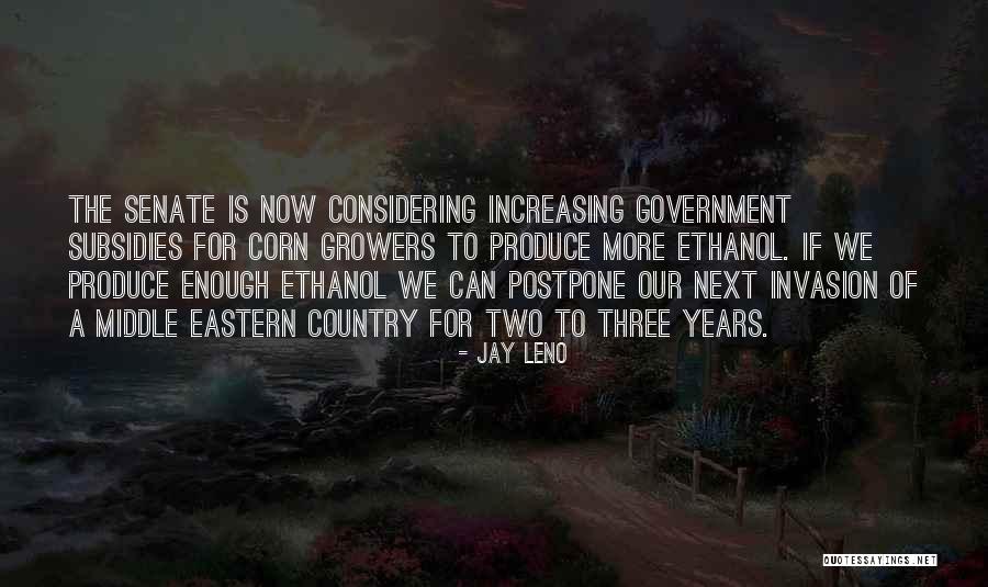 Government Subsidies Quotes By Jay Leno