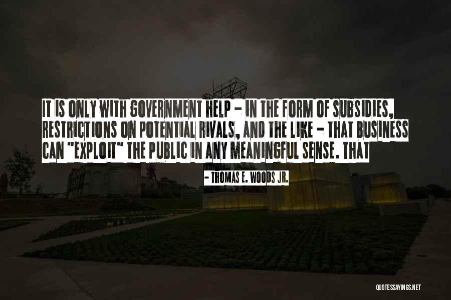 Government Subsidies Quotes By Thomas E. Woods Jr.
