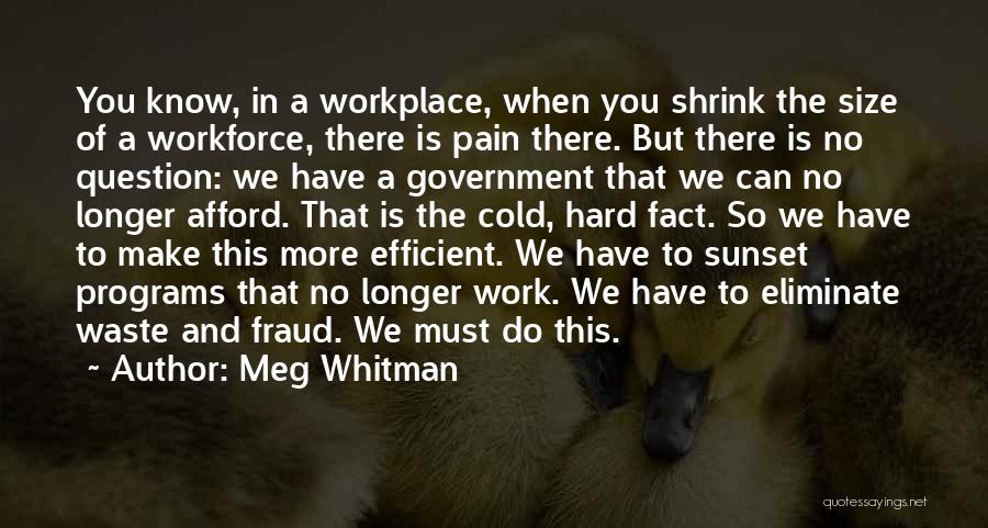 Government Waste Quotes By Meg Whitman