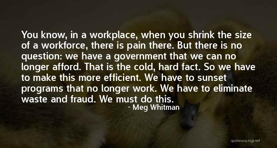 Government Waste Quotes By Meg Whitman