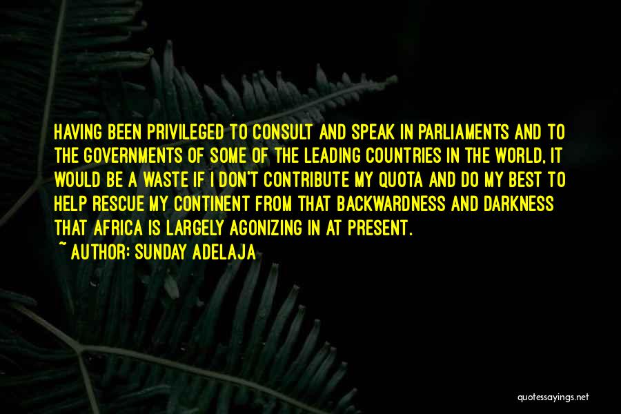 Government Waste Quotes By Sunday Adelaja