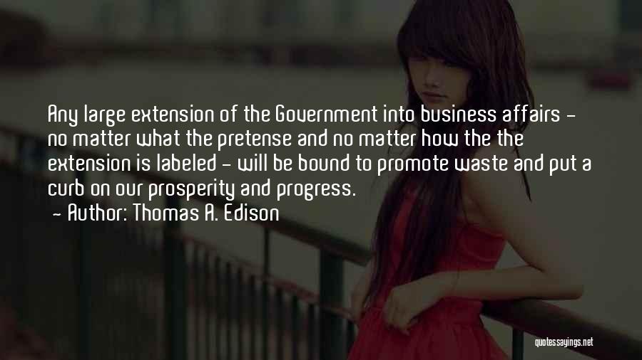 Government Waste Quotes By Thomas A. Edison