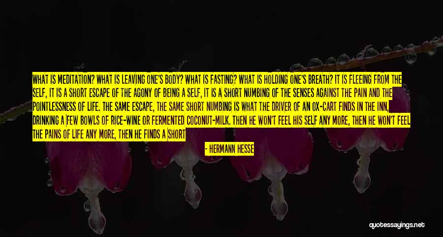 Govinda Quotes By Hermann Hesse