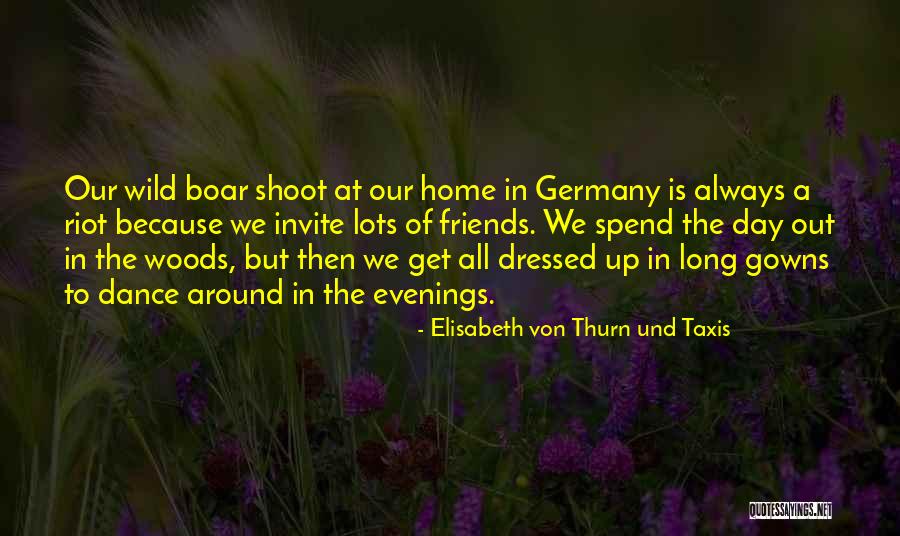 Gowns Quotes By Elisabeth Von Thurn Und Taxis