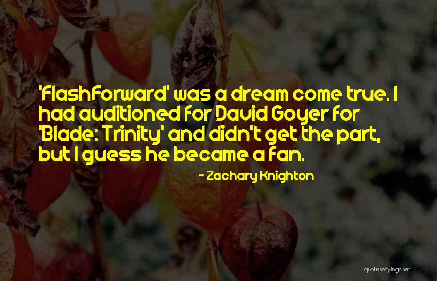 Goyer Quotes By Zachary Knighton Goyer Quotes By Zachary Knighton
