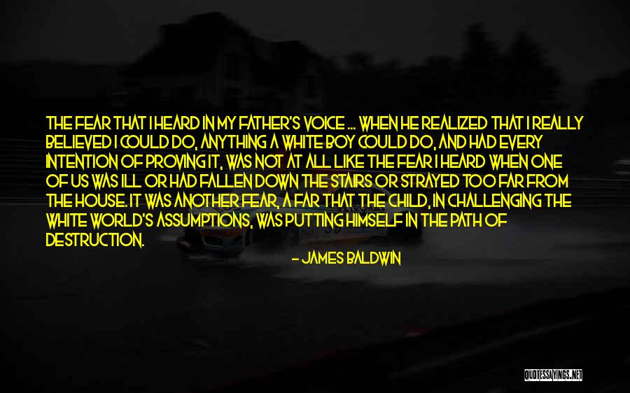 Goyish Quotes By James Baldwin Goyish Quotes By James Baldwin