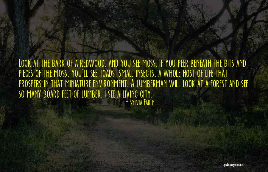 Goyvaerts Transport Quotes By Sylvia Earle Goyvaerts Transport Quotes By Sylvia Earle