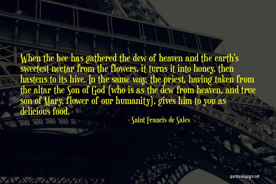 Gozdzik Kartuzek Skalny Quotes By Saint Francis De Sales Gozdzik Kartuzek Skalny Quotes By Saint Francis De Sales