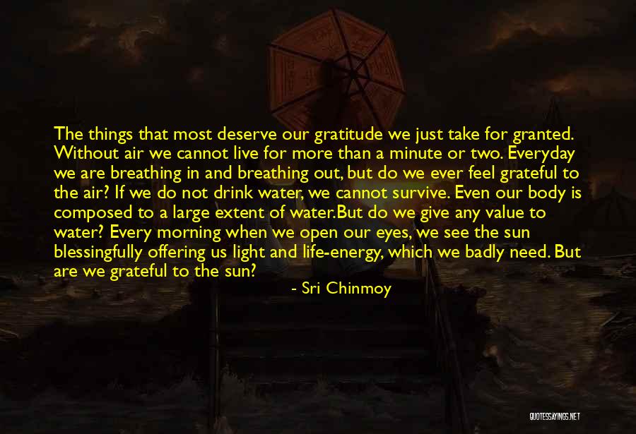 Gr Nenwald W Rmepumpen Quotes By Sri Chinmoy Gr Nenwald W Rmepumpen Quotes By Sri Chinmoy
