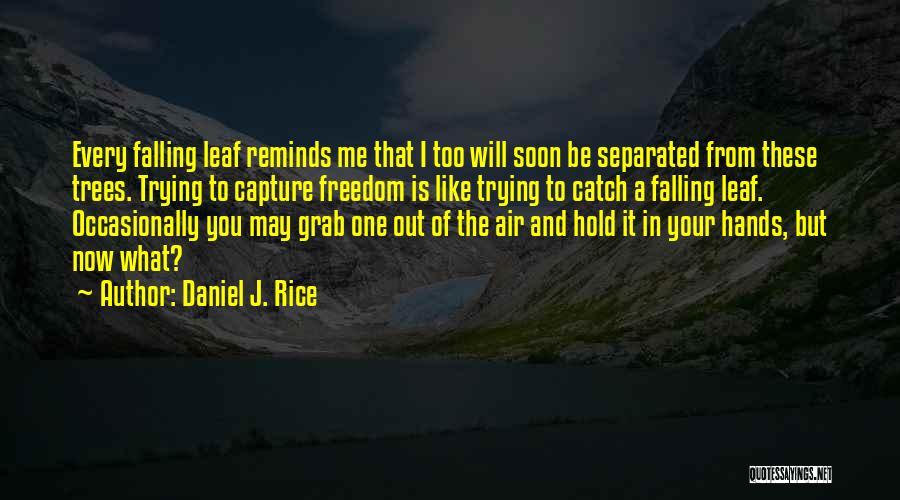 Grab It Quotes By Daniel J. Rice