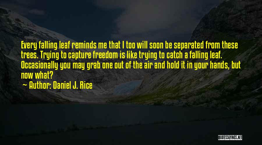 Grab It With Both Hands Quotes By Daniel J. Rice