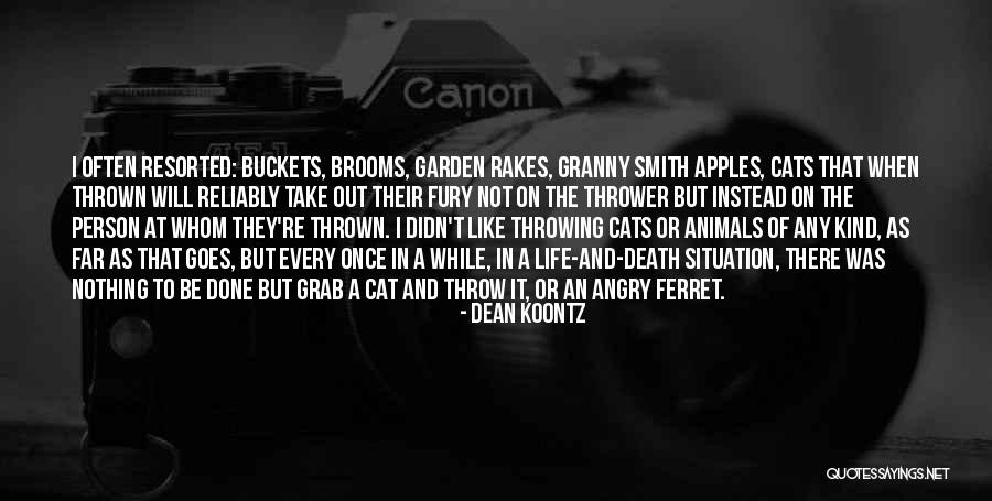 Grab Life Quotes By Dean Koontz Grab Life Quotes By Dean Koontz
