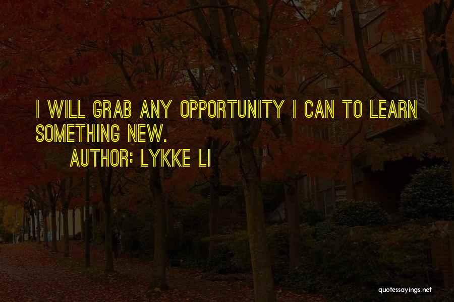 Grab The Opportunity Quotes By Lykke Li