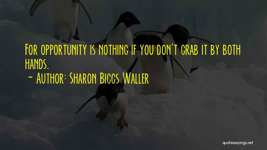 Grab The Opportunity Quotes By Sharon Biggs Waller