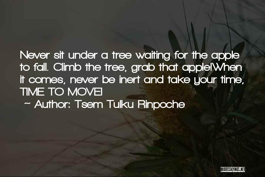 Grab The Opportunity Quotes By Tsem Tulku Rinpoche