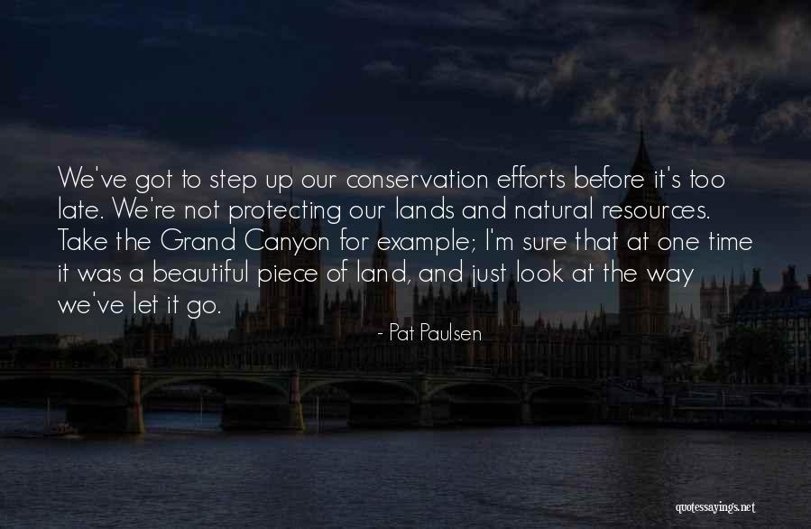 Gracchi Reforms Quotes By Pat Paulsen Gracchi Reforms Quotes By Pat Paulsen