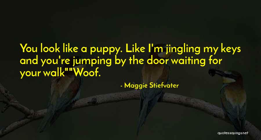 Grace And Sam Quotes By Maggie Stiefvater Grace And Sam Quotes By Maggie Stiefvater