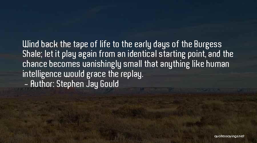 Grace Burgess Quotes By Stephen Jay Gould