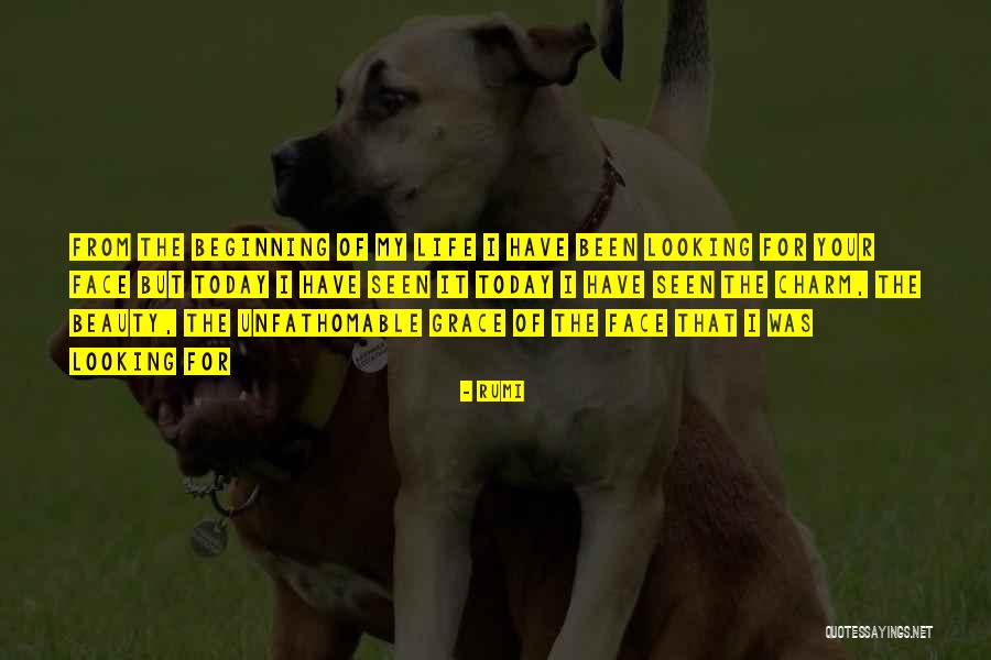 Grace But Quotes By Rumi Grace But Quotes By Rumi