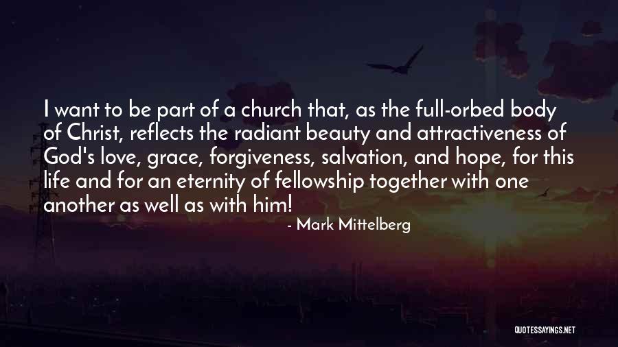 Grace Full Quotes By Mark Mittelberg