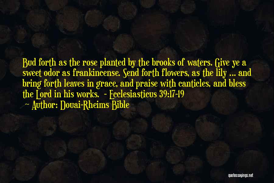 Grace In The Bible Quotes By Douai-Rheims Bible