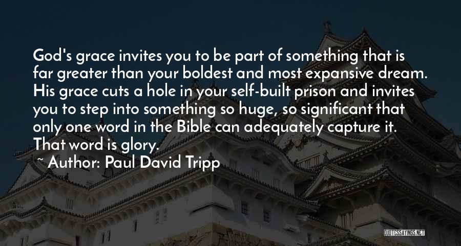 Grace In The Bible Quotes By Paul David Tripp