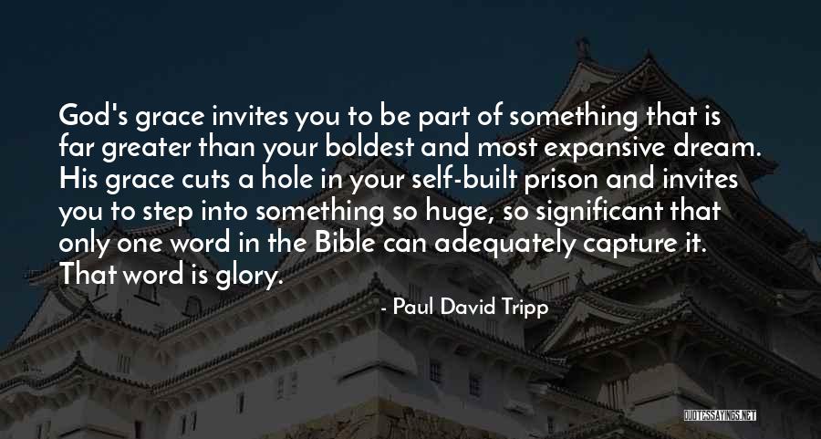 Grace In The Bible Quotes By Paul David Tripp