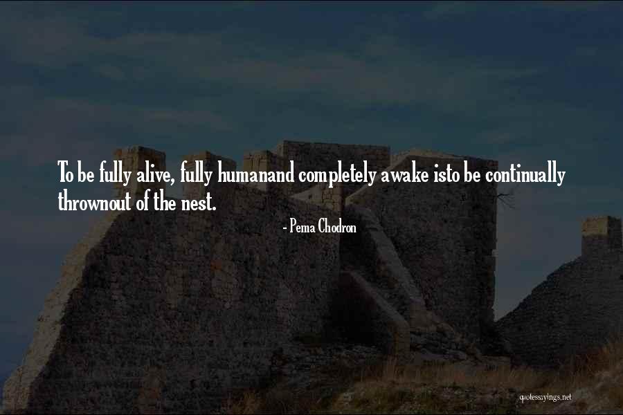 Grace Real Estate Quotes By Pema Chodron Grace Real Estate Quotes By Pema Chodron