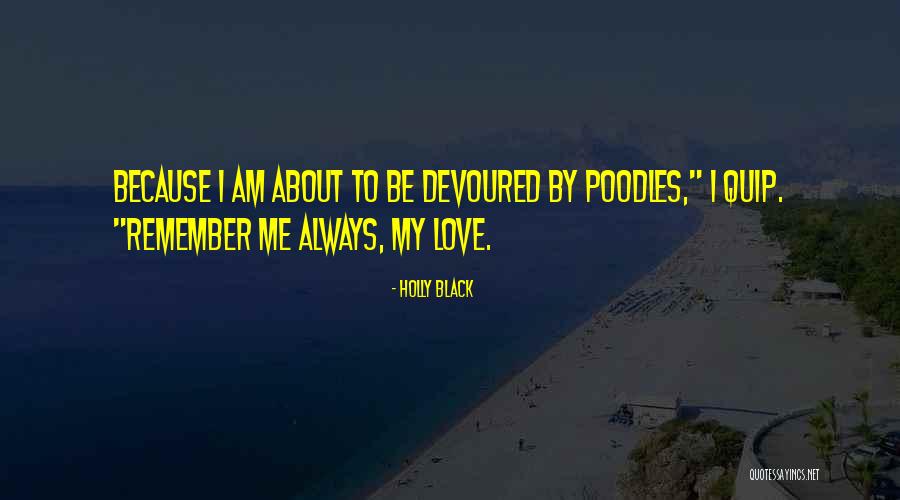 Graceffa Rockford Quotes By Holly Black Graceffa Rockford Quotes By Holly Black